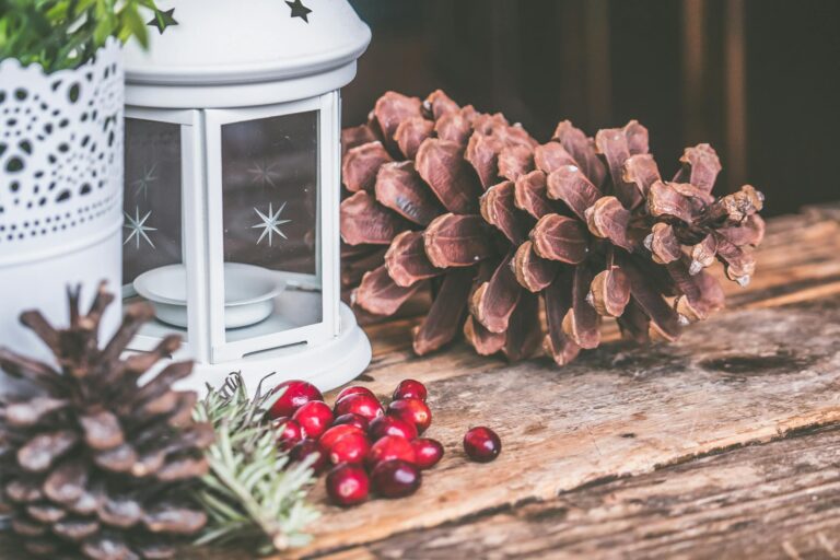 A cozy rustic scene with a candle lantern, pinecones, and cranberries on a wooden table, perfect for winter decor.