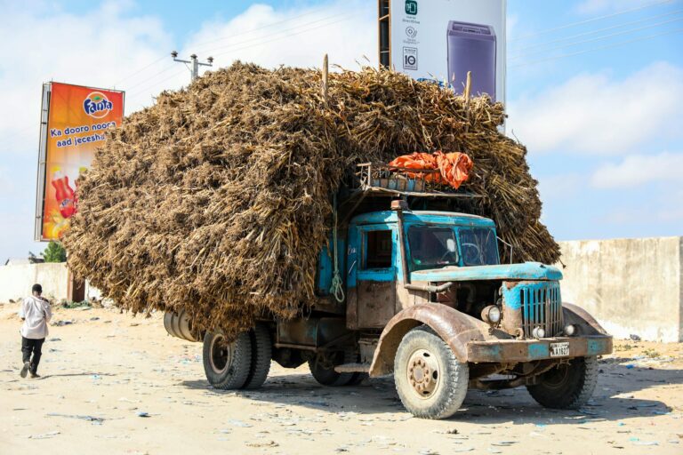 A heavily loaded truck with dried vegetation drives through Mogadishu, Somalia, under sunny skies.