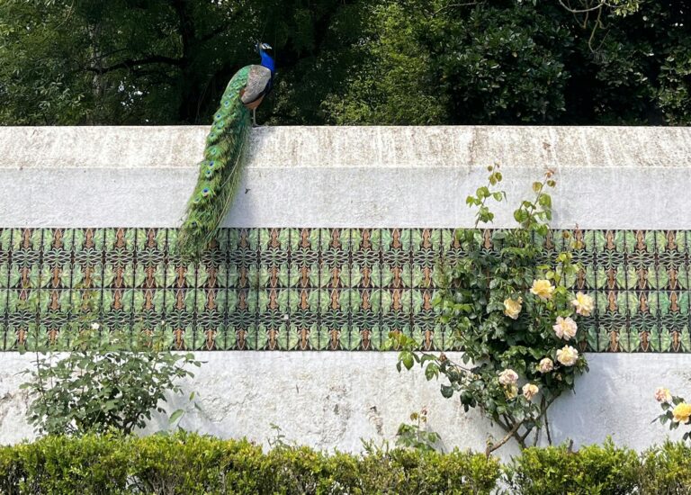 A stunning peacock perched on a decorative garden wall amidst lush greenery in Lisbon, Portugal.