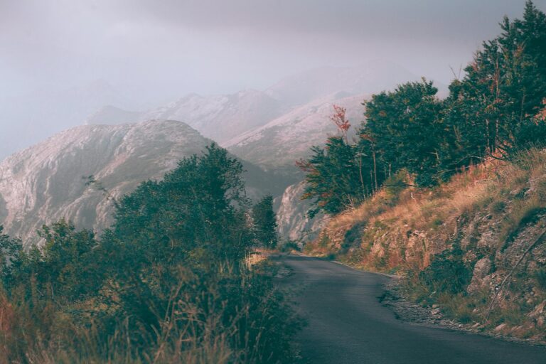 A tranquil mountain path winding through misty hills and lush greenery, perfect for nature lovers.