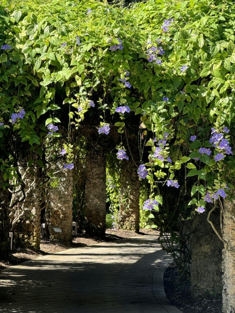 Charming garden pathway with lush greenery and purple flowers, offering a serene outdoor escape.