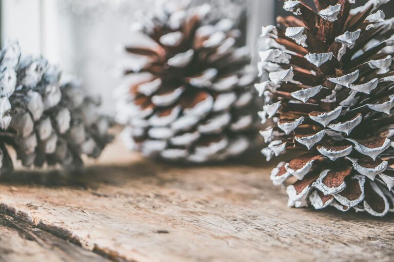 Close-up of snow-frosted pine cones on a textured wooden surface, perfect for winter decor.
