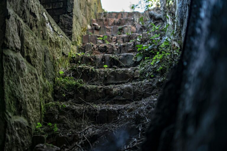 Explore a scenic moss-covered stone staircase in the tranquil outdoors of Niederdorla, Germany.