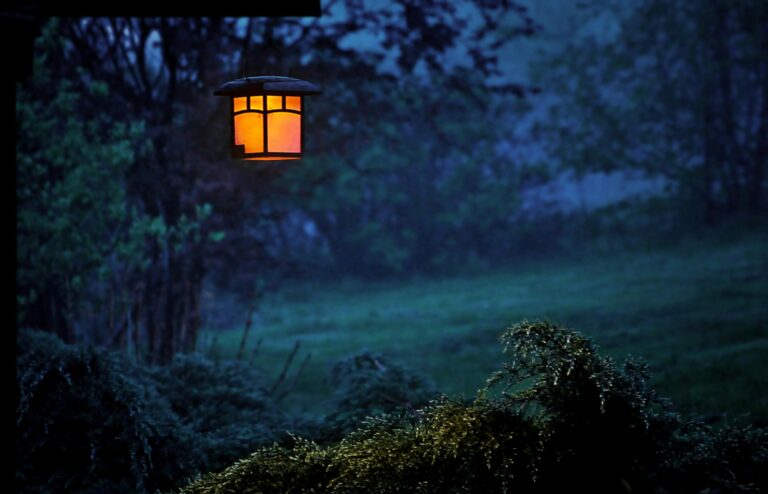 Serene outdoor night scene with a glowing lamp illuminating foggy woods.