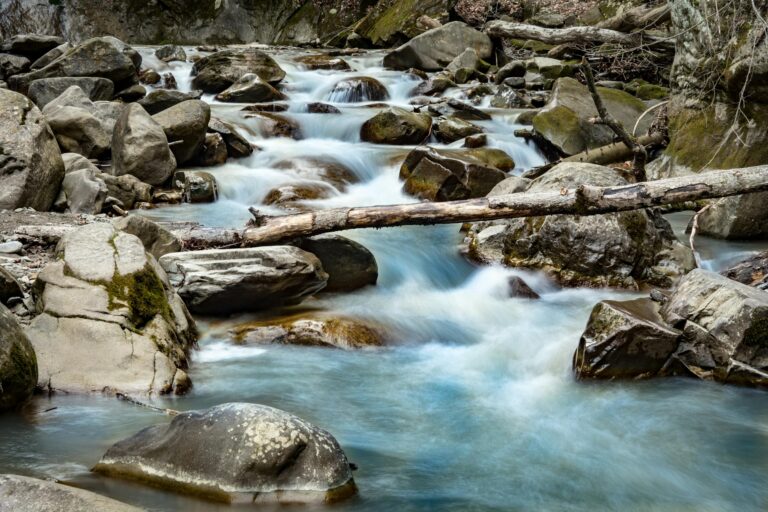 Serene river stream flowing through mossy rocks and fallen logs in a natural outdoor setting.