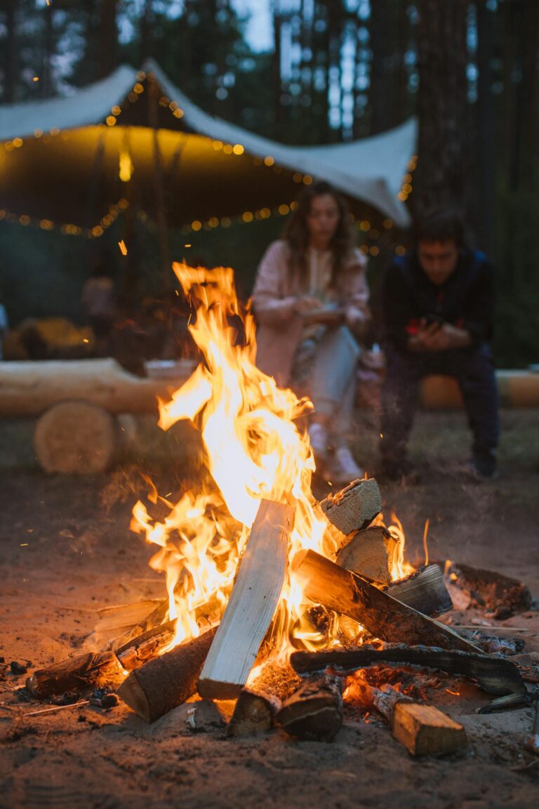 Two people enjoy a warm campfire surrounded by nature in a forest setting.