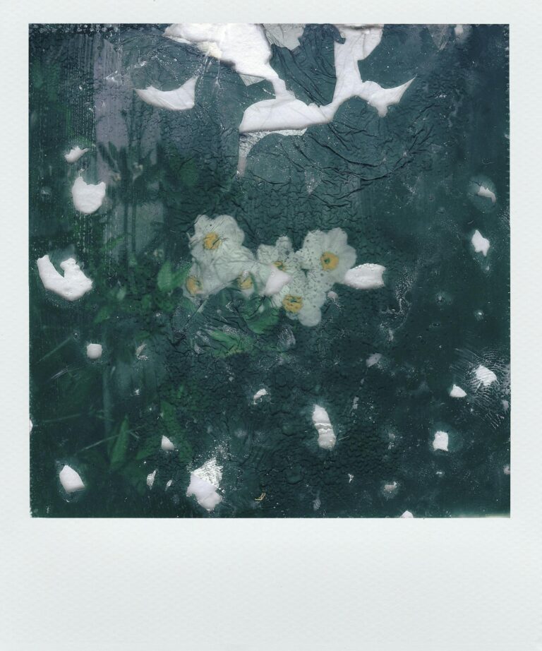 Unique abstract photo of white flowers with a distressed texture, offering artistic appeal.