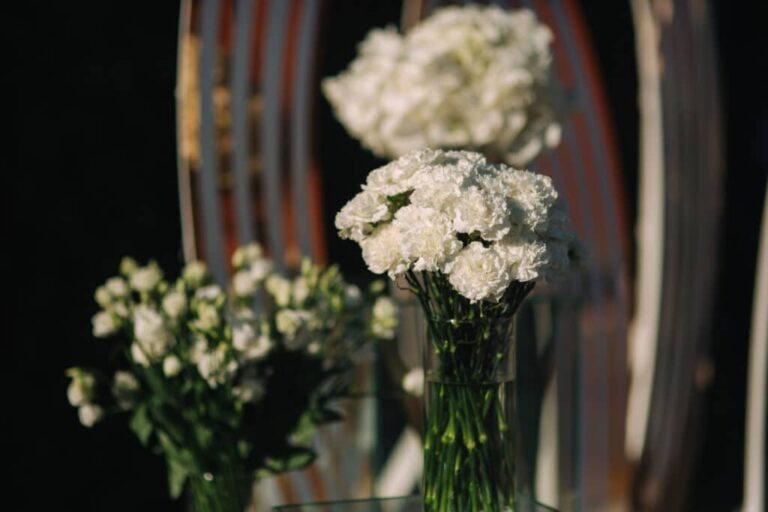 White carnations in a vase.